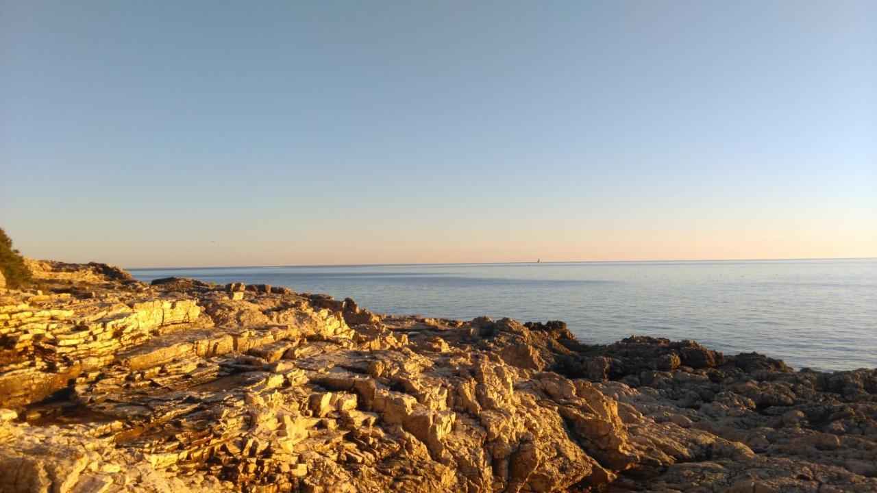 דירות Lair By The Sea - Stoja, PUY מראה חיצוני תמונה